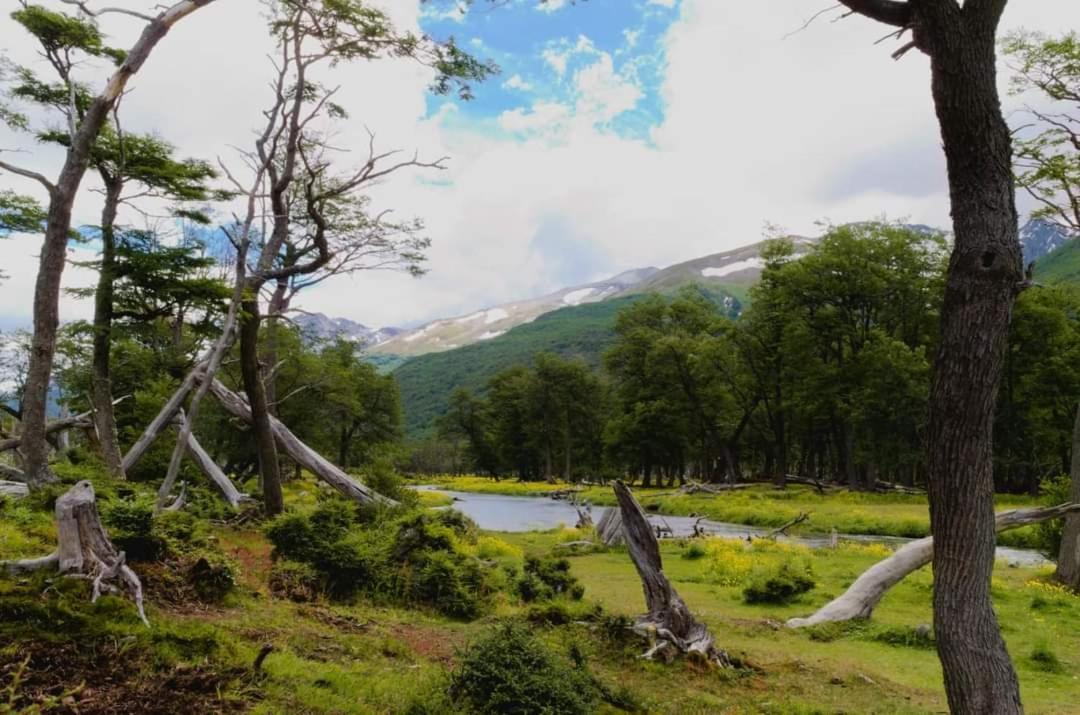 Cabanas Santa Montana Ushuaia Eksteriør billede