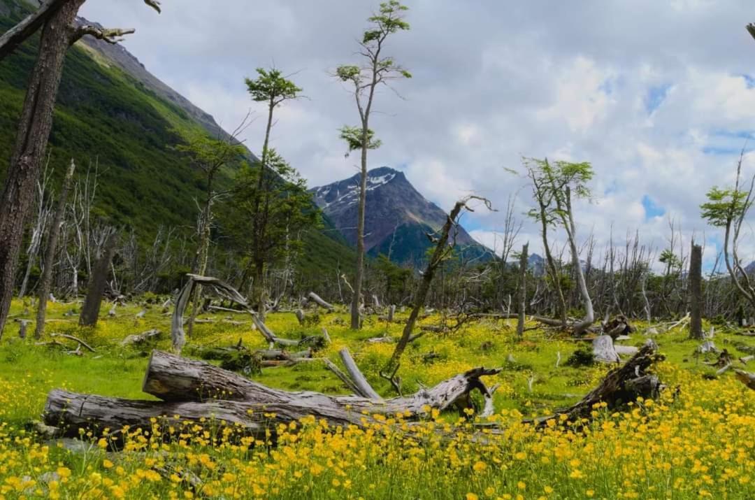 Cabanas Santa Montana Ushuaia Eksteriør billede